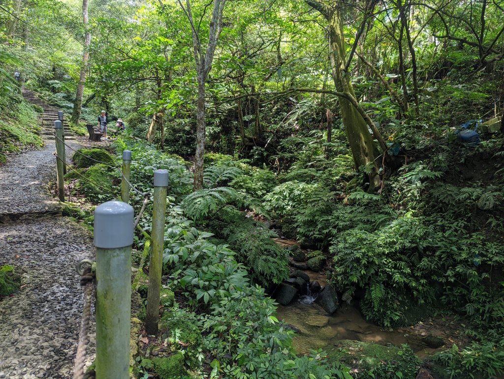 天上山：朝山步道、桐花公園、天上山、賞螢步道_1737616