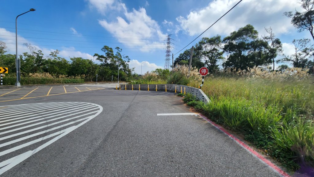 111/11/19杭菊限定：銅鑼-三義大縱走、龍貓土地公、銅鑼窯_1919698