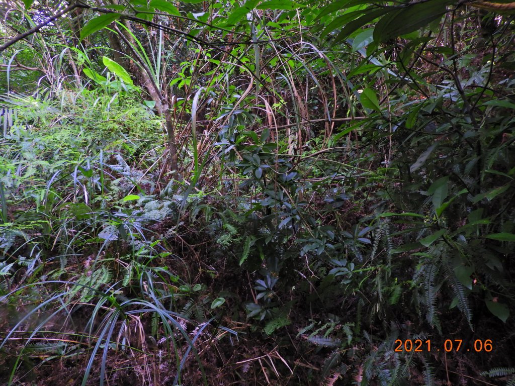 基隆 七堵 仙洞湖山_1422591