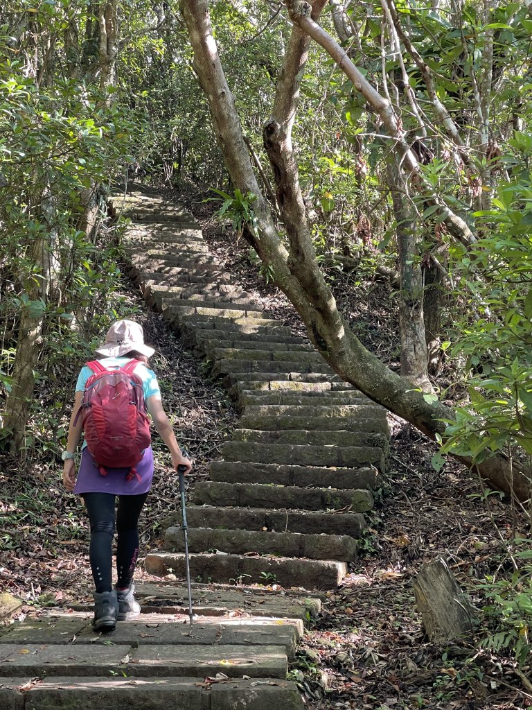草嶺古道-大溪線-桃源谷-虎字碑-草嶺古道-福隆 20240909_2591651