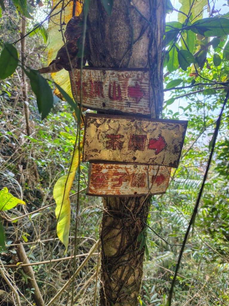 獅嶺峭壁_2987389