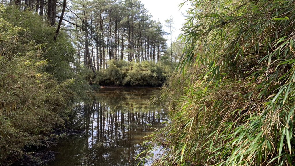 宜蘭 大同 台中 和平 羅馬環形縱走_2116337