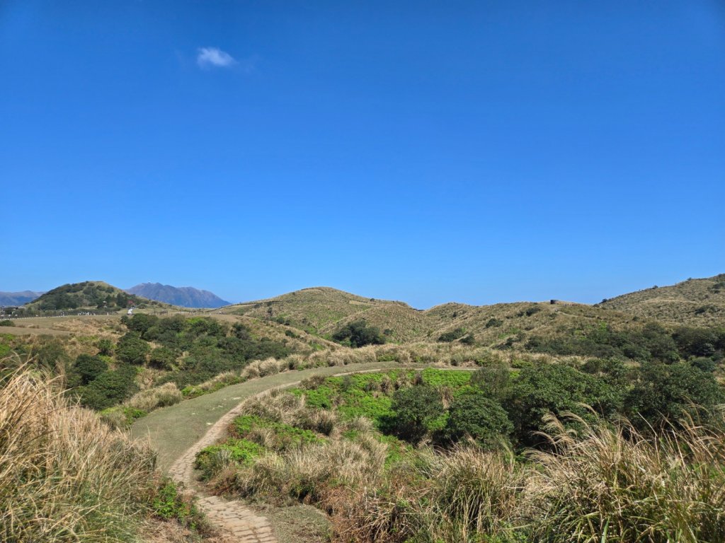 擎天崗環形步道_2722272
