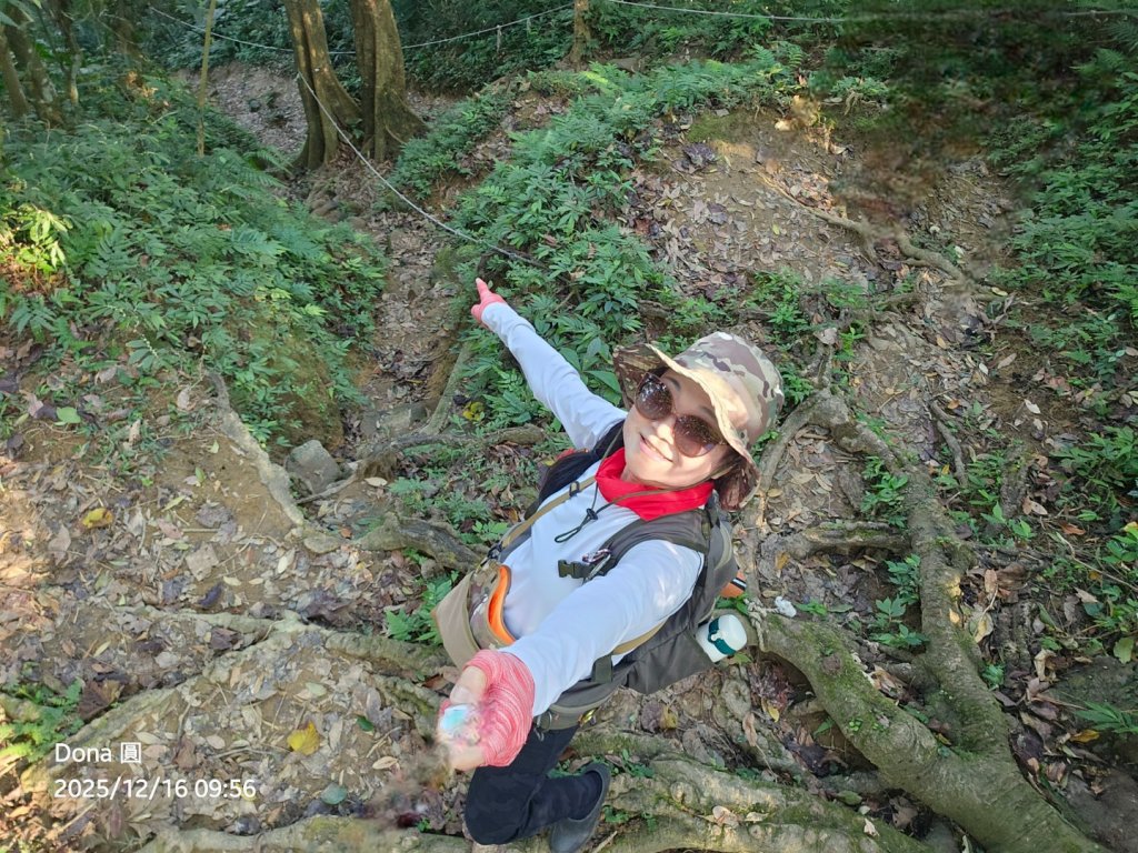 20251216太平山石門山小粗坑山O型+蕃薯藤TINA廚房_2972560