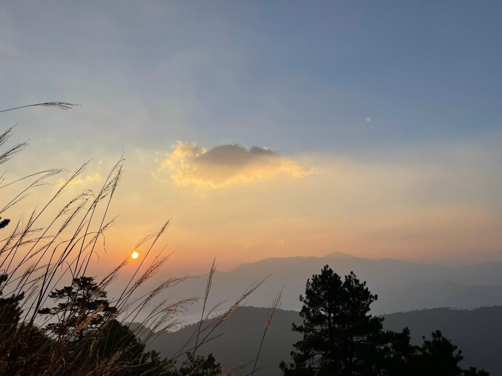 20210321又去摘桃山_1318755