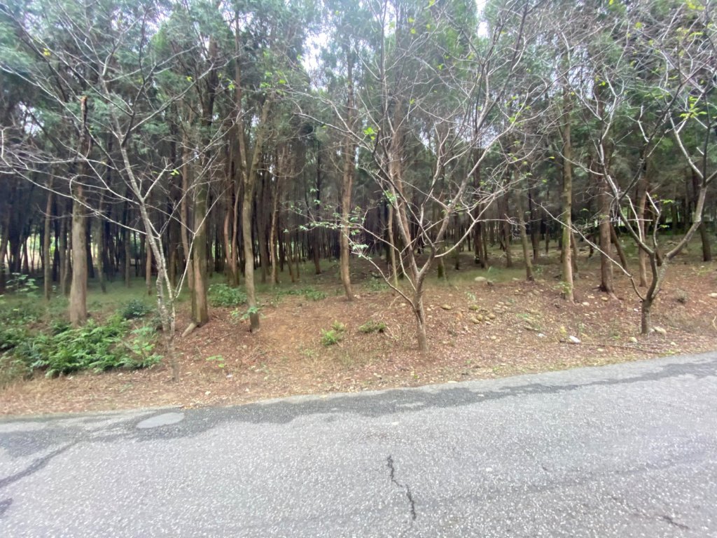 苗栗三義-三員縱走_2616502