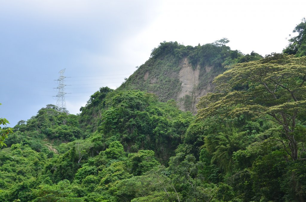 霧峰奧山封面圖