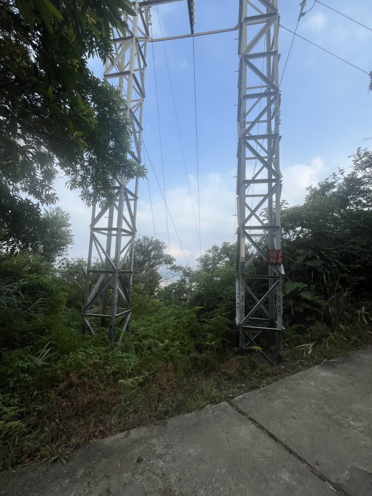 [山頂鳥40周年會員大縱走-14/15] 2024_0804 劍潭山親山步道_2566191