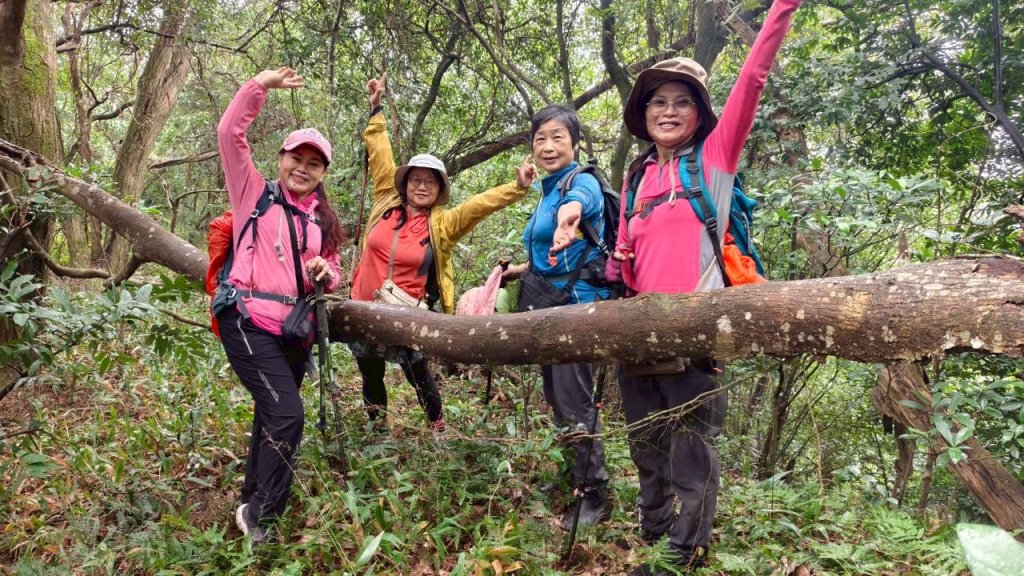 關西大東坑山/草長難過  順訪東安古橋封面圖