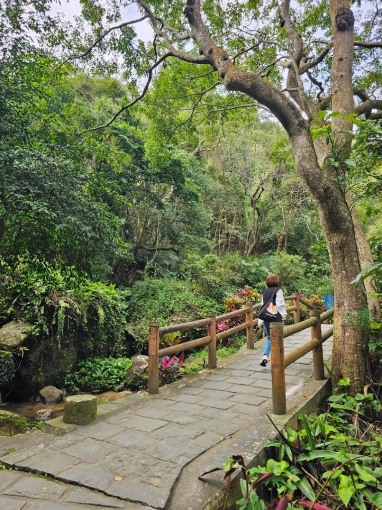 20250228 碧山巖賞櫻&鯉魚山步道_2736087