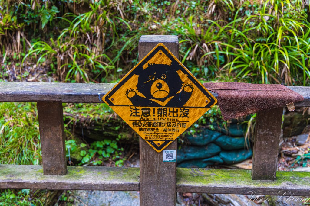 南二段撤退行_2742998