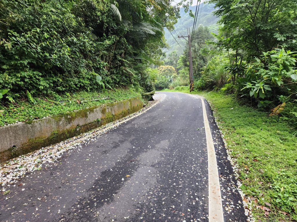 20230423鹿母潭山、獅仔頭山、大丘田山、粽串尖山_2239617
