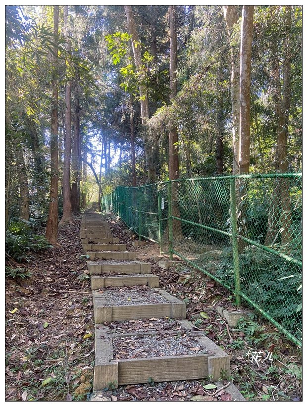 鳳凰谷步道(鹿谷鄉)_2690450