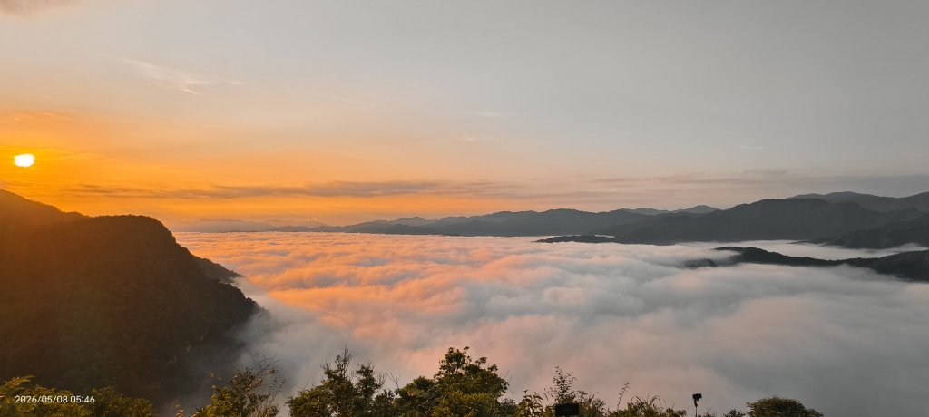 #翡翠水庫壩頂 #月亮 #日出 #雲海 #藍腹鷴母鳥 5/8&13封面圖