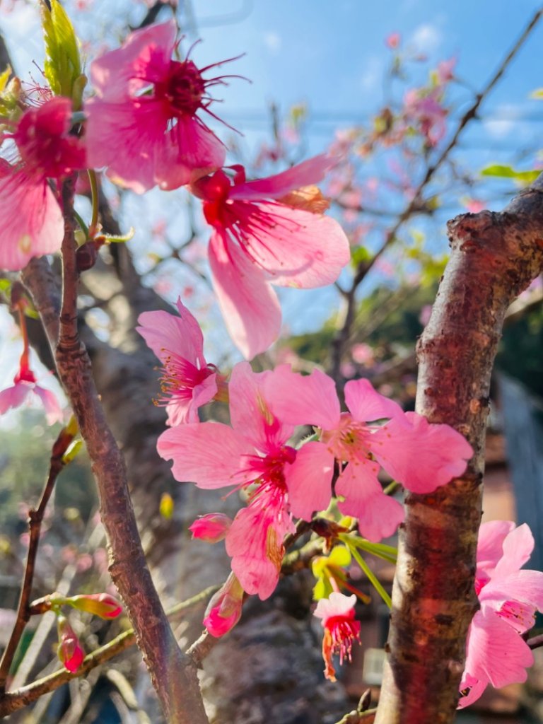 北部三大岩場-筆架連峰-皇帝殿-五寮尖拍空拍寫真💙_2734063