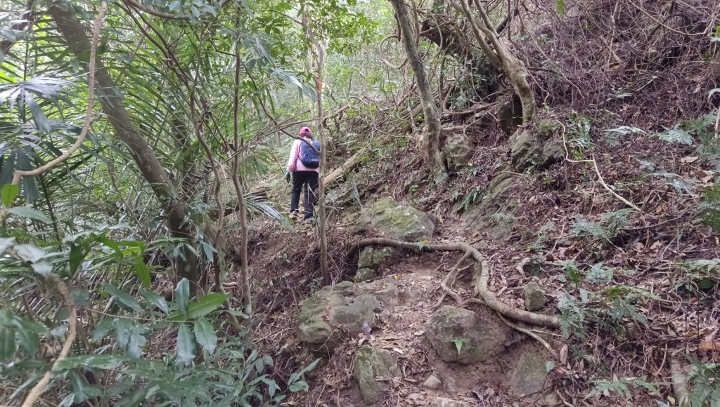 (姨婆趴趴走)第四十六集:新竹關西赤柯山及南峰、東西獅頭山、馬福山環狀縱走_2685782