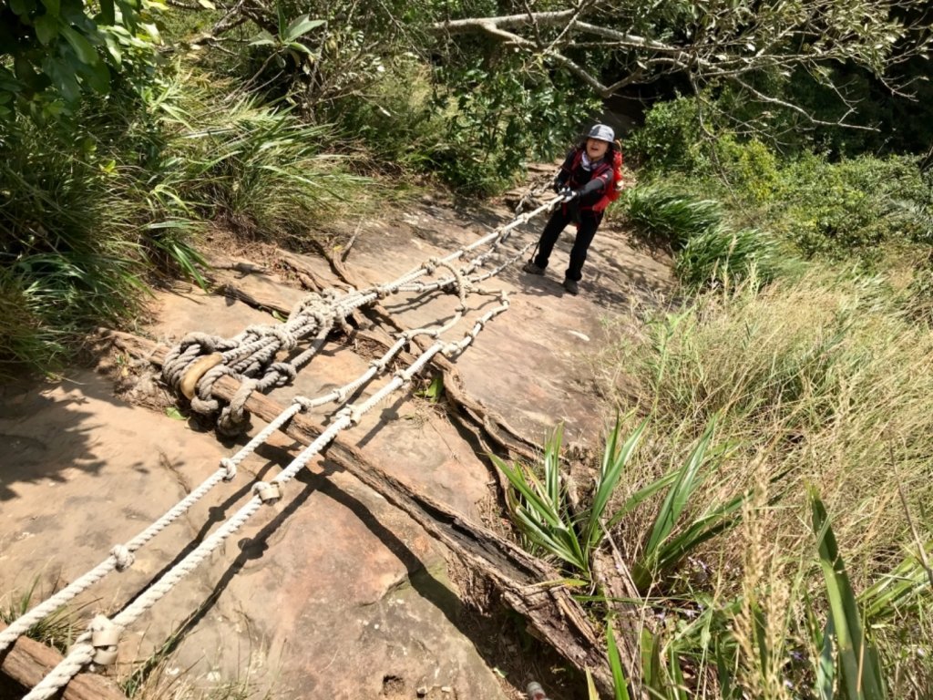 五寮尖上大風狂_448957