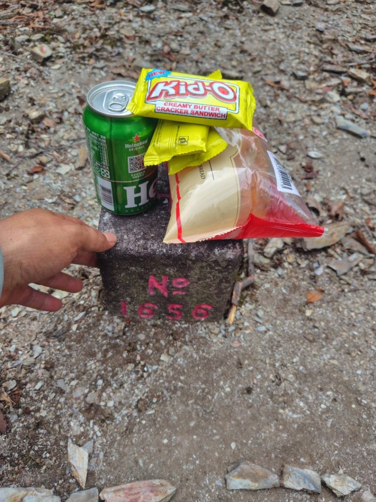 多納六秀 屯子山 安通吊橋_2987279