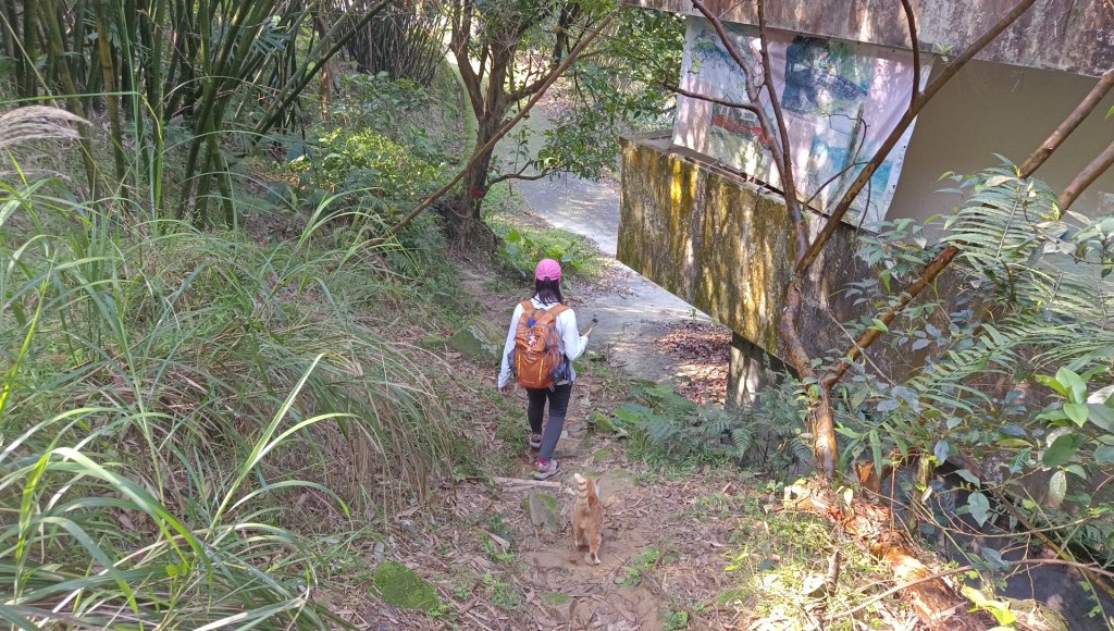 (姨婆趴趴走)第四十八集:新北草嶺古道（福隆車站-大里車站）_2747640