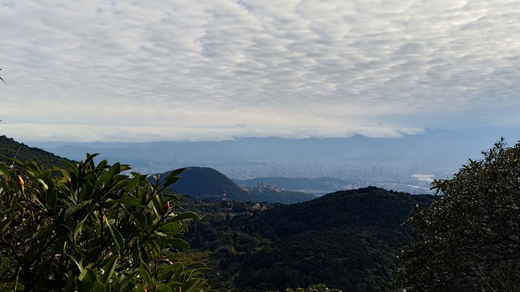 20260125 陽明山前後山健行(無極天元宮~山仔頂步道.向天池.向天山.面天山.二子坪)_2998074