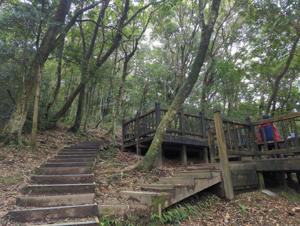 2023.02.19－東眼山自導式步道_2038884