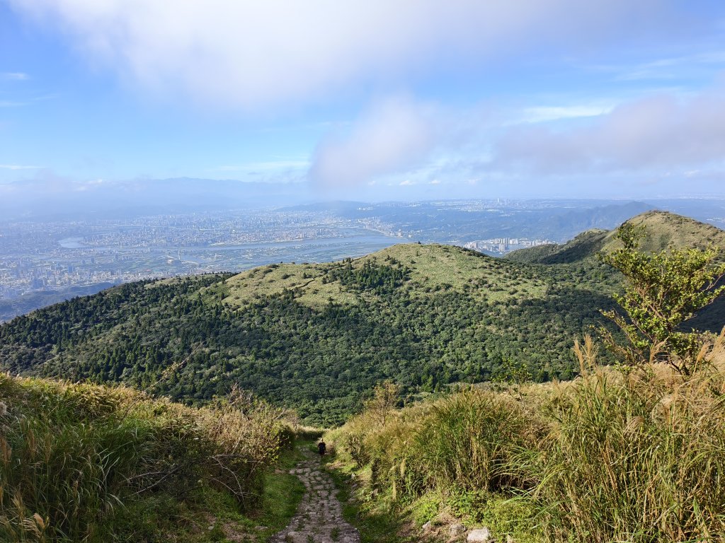 [百山百鳥尋旅-11/15] 2025_0927 大屯主峰-連峰步道_大屯山南峰_2899337
