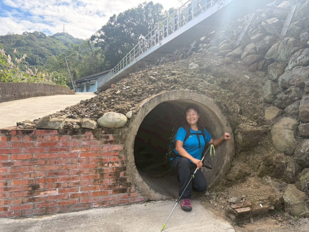 苗栗出磺坑古道、銅纙坑菊_2951574