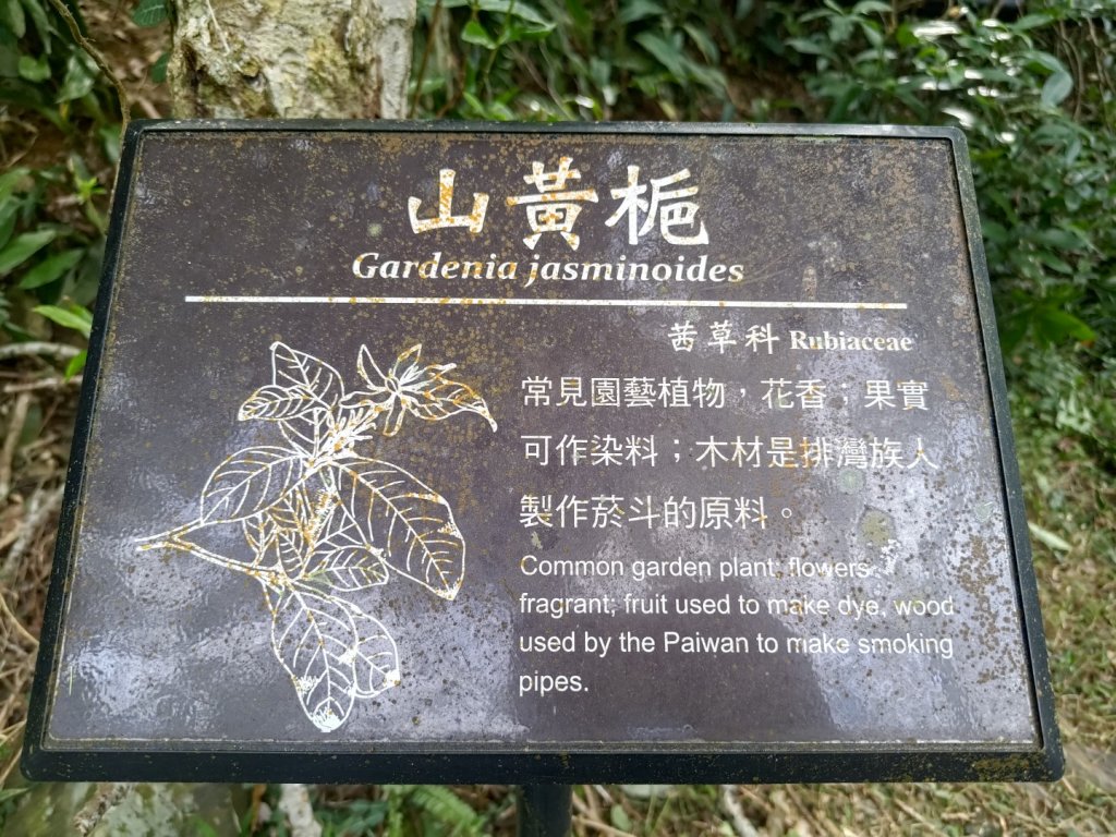 雙流森林遊樂區婆豬古山連走雙流瀑布帽子山_2652740