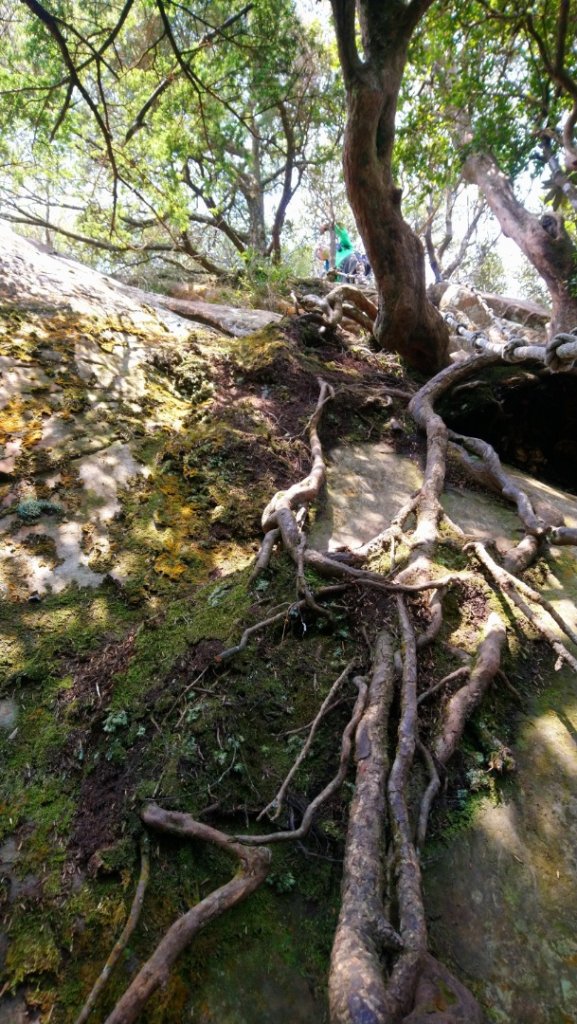 那結山（嘎色鬧部落線）_893408