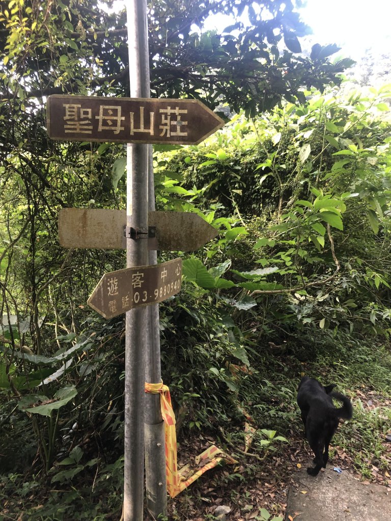 【宜蘭礁溪】抹茶山~超消暑聖母登山步道_640575