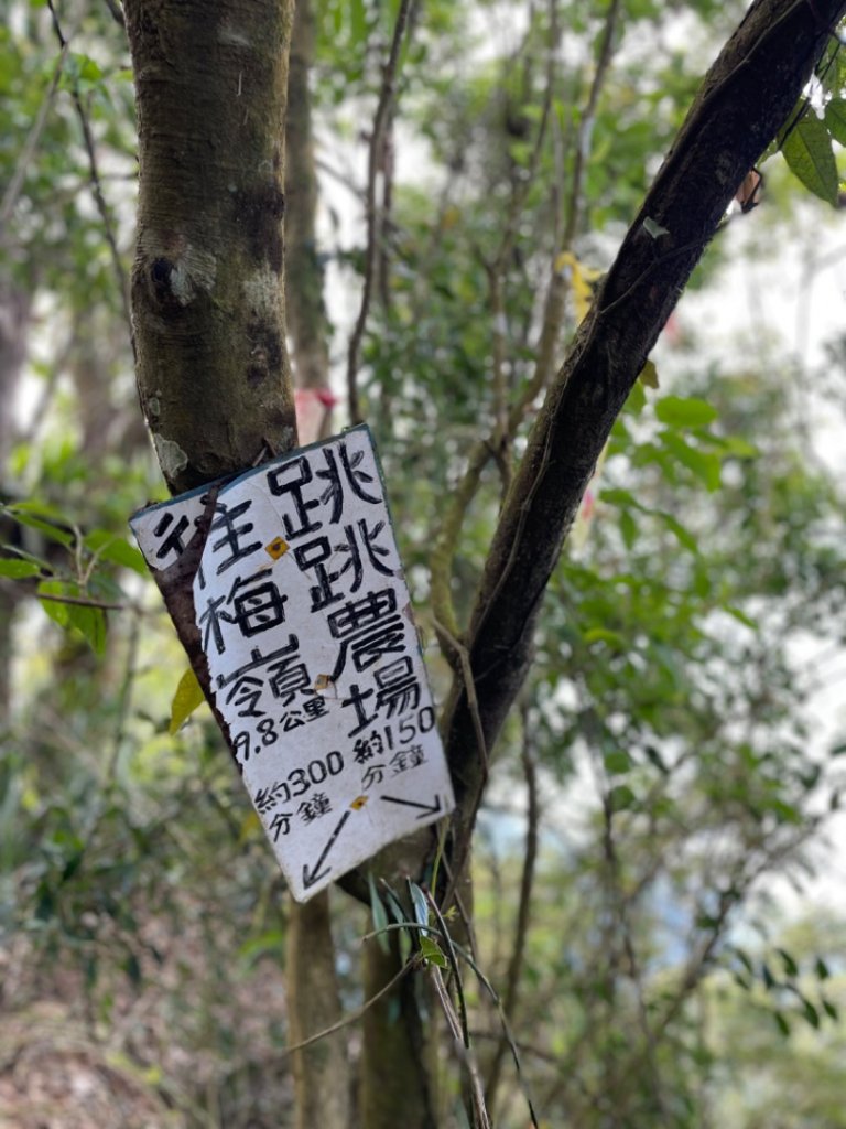 小百岳 三腳南山_2686584