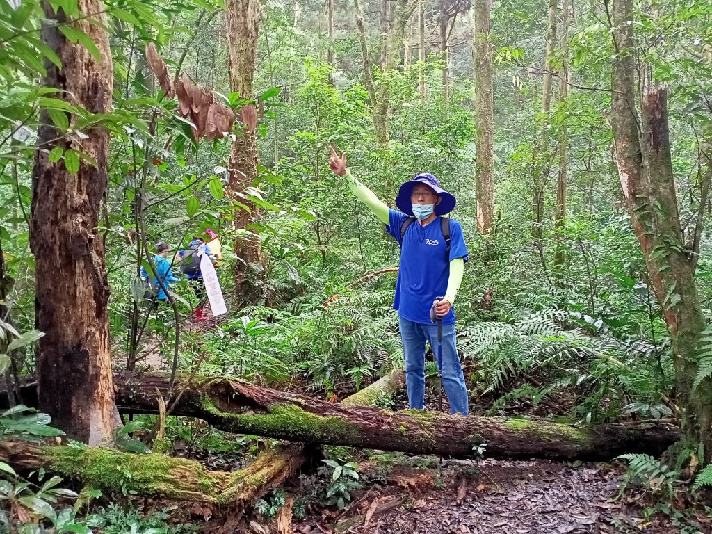 烏來美鹿山南峰→拔刀爾山→高腰山→美鹿山→美鹿山南峰封面圖