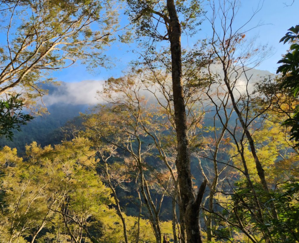 【中級山】中級山的大霸尖山，水雲三星虎山_2741177