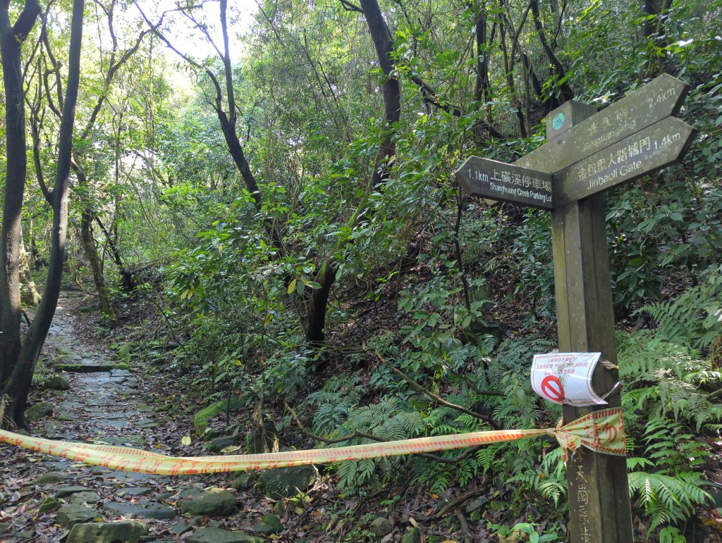 2025.04.27－金包里大路~小油坑縱走_2770892