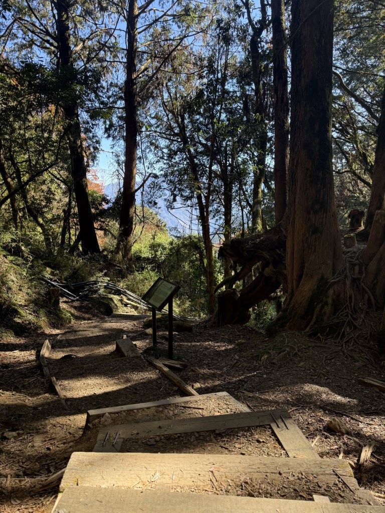 1141215大塔山步道_2996129
