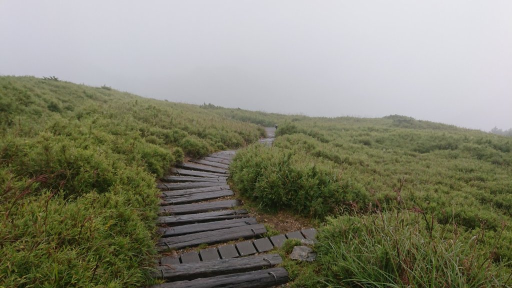 拾階而上合歡東峰_1098890