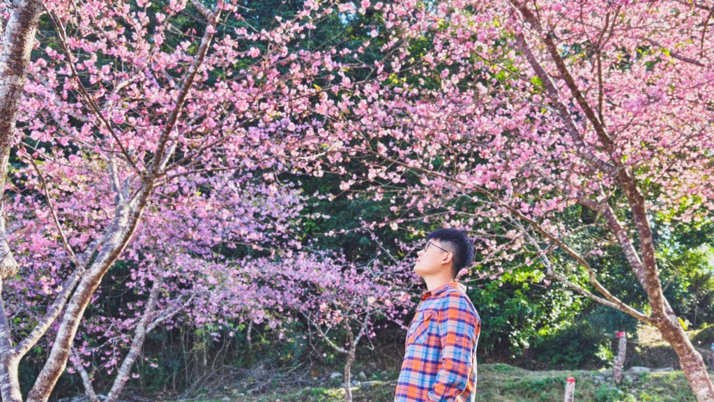 【台灣健行】春艷 • 寶山二集團封面圖