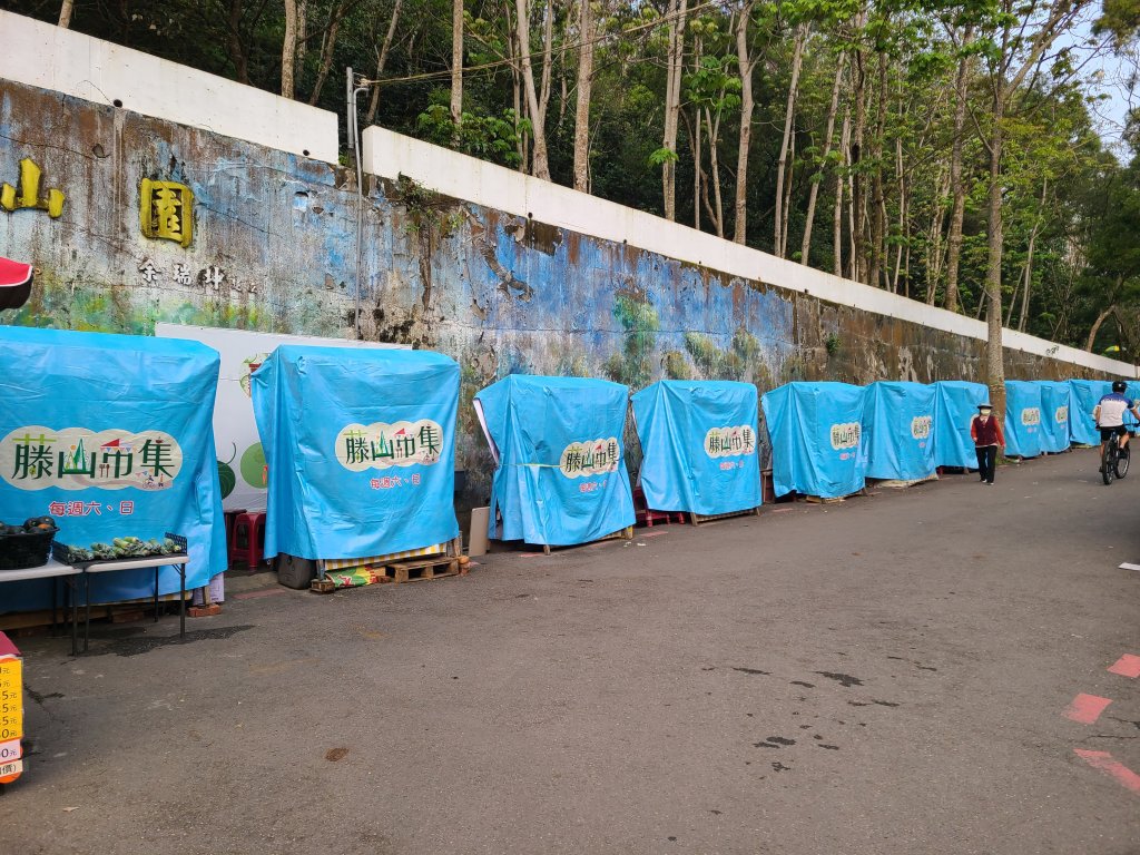 藤山步道之微熱山丘_2751669