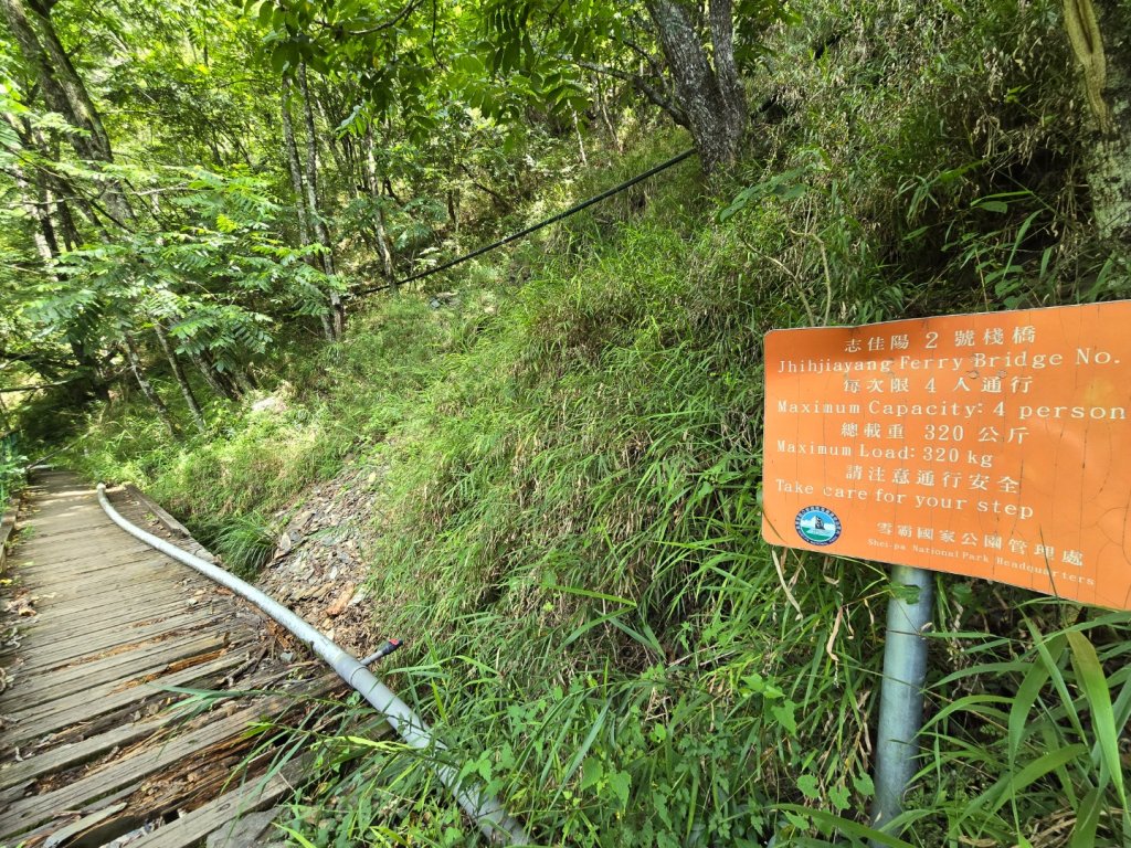 志佳陽大山（回程走高繞環山獵人登山步道）_2542126