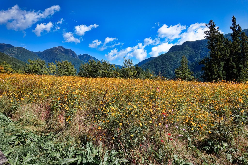 桃山&武陵農場_631911