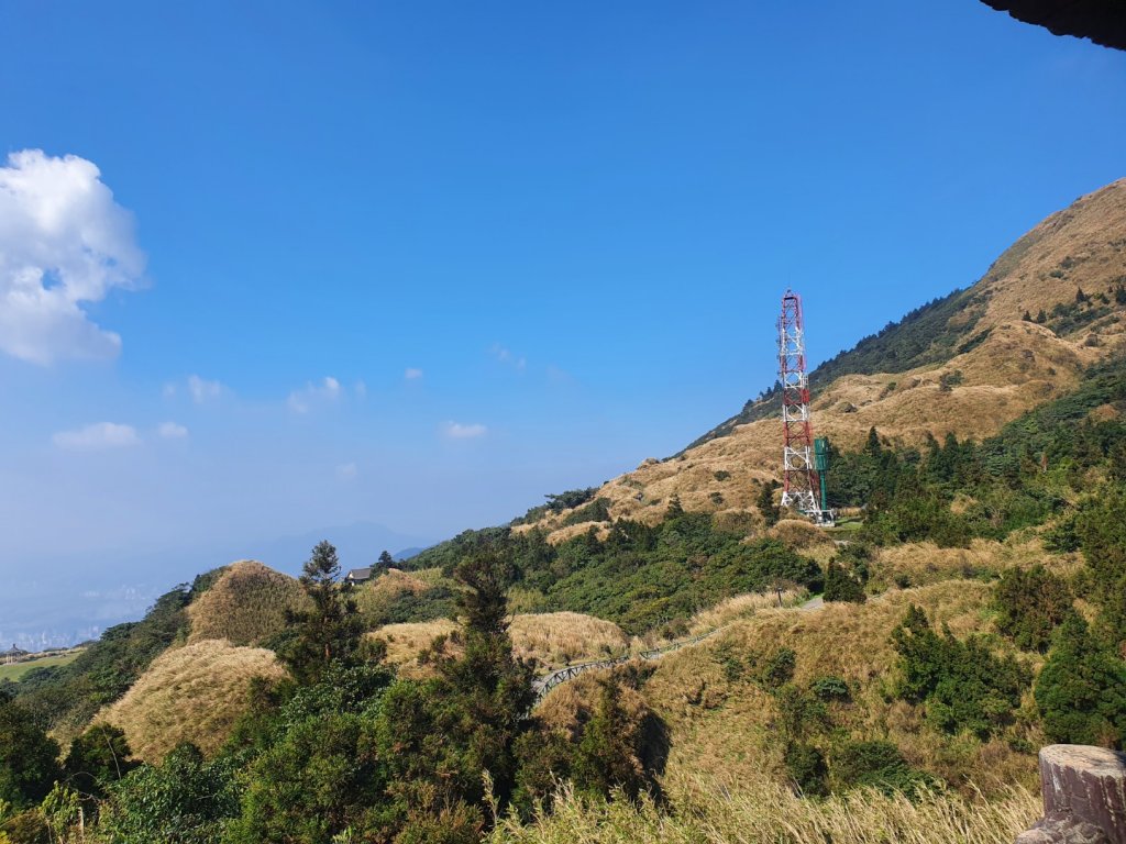 七星山主、東峰登山步道（小百岳）_1275219