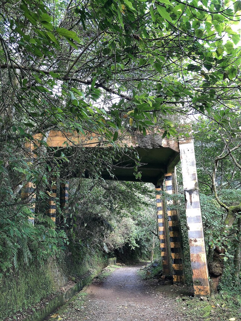 ~  佐倉步道  ~_2050420