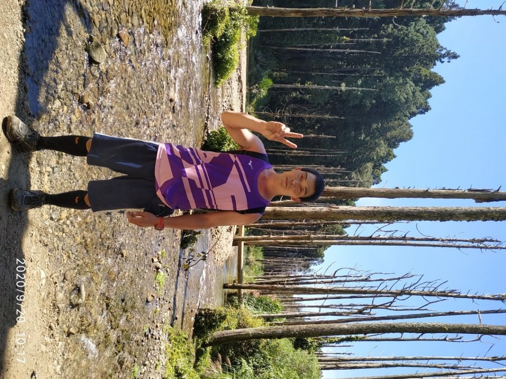 眠月神木、郡大神木群_1106817