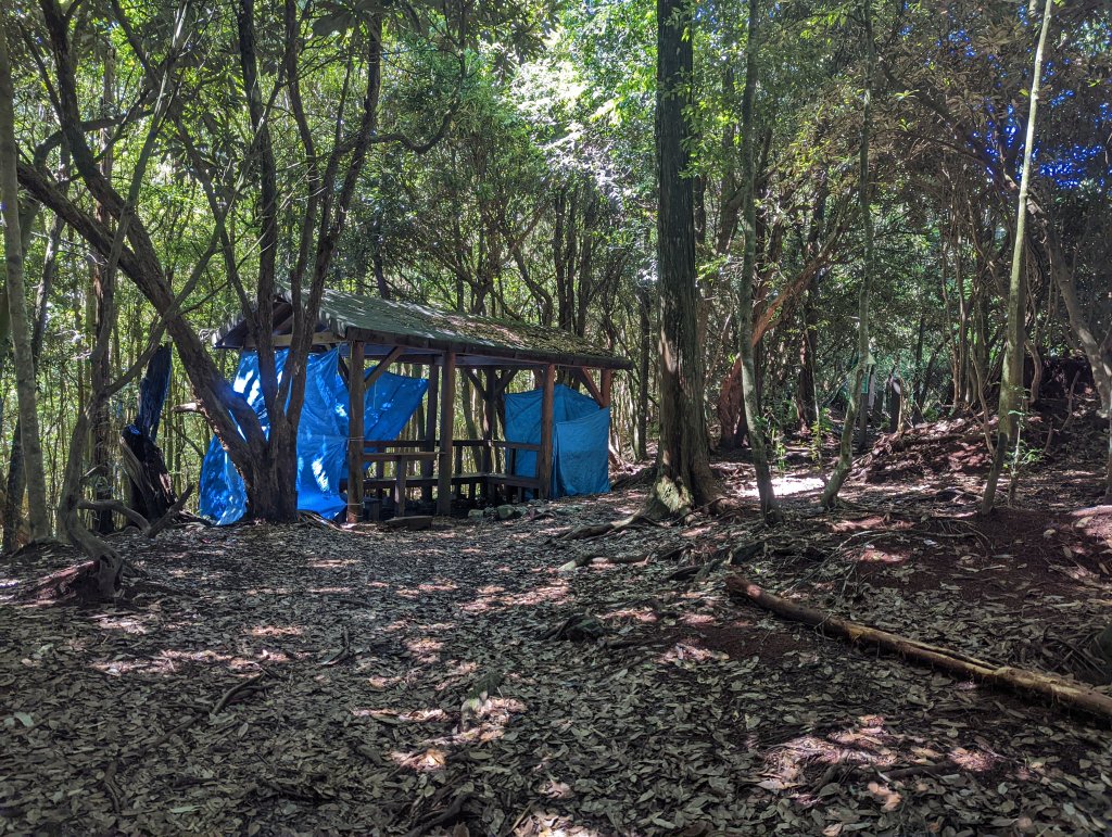 谷關七雄：八仙山_1744096