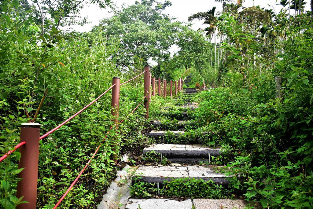 20230730獨立山爬山JRJ淨山_2247234