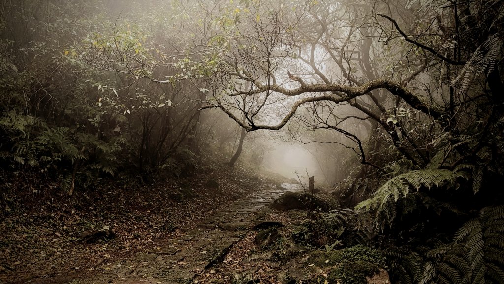 夢幻湖山步道封面圖