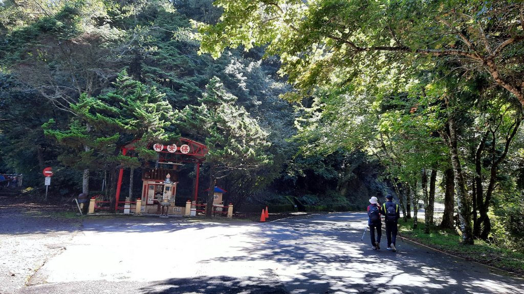 《台中》迷霧巨木為伴｜走訪大雪山船型山20210904_1454158