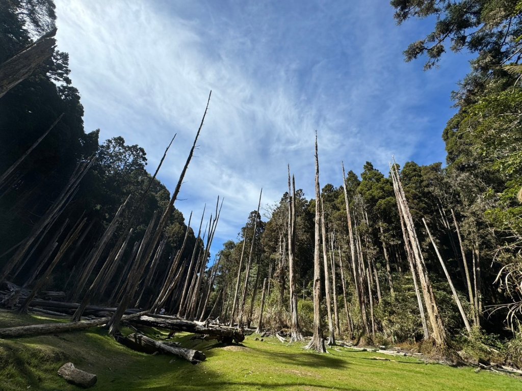 20240218 金柑樹山/忘憂森林_2430125