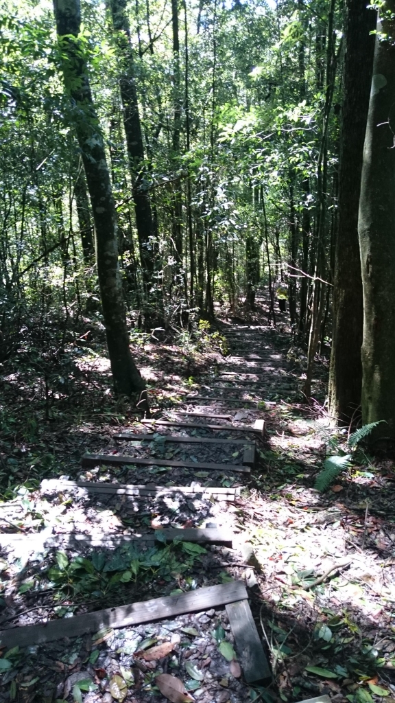 鳶嘴山步道_24384