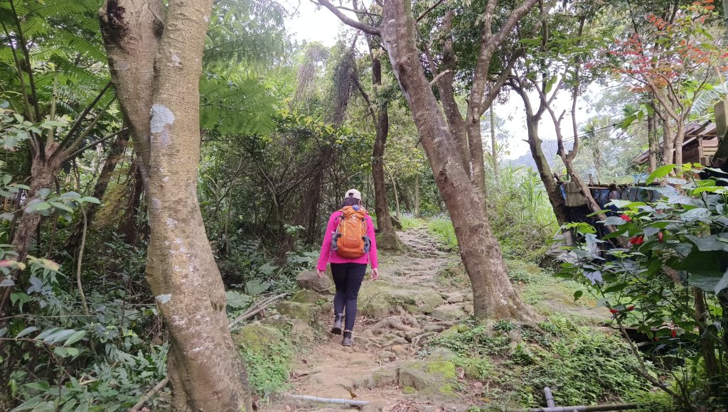 (姨婆趴趴走)第四十七集:新北土城大暖坑山等諸峰攀登連走_2738739